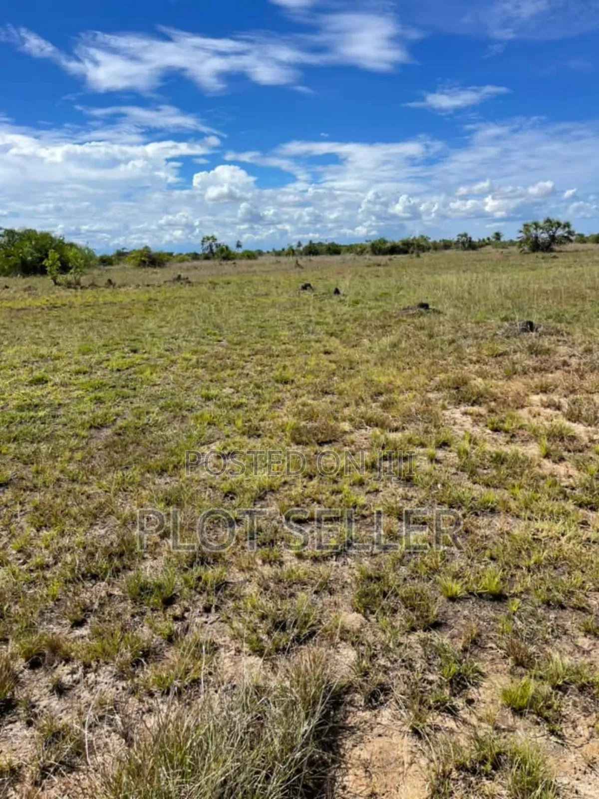 Plot for Sale Mwasonga Tulivu