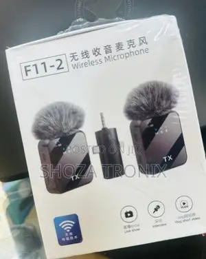 Wireless Microphone