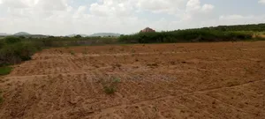 Kiwanja Dodoma Udom