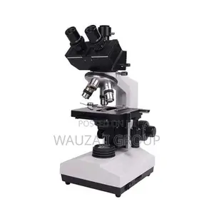Microscope