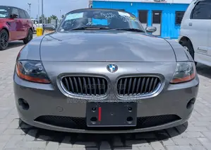 BMW Z4 2007 Gray