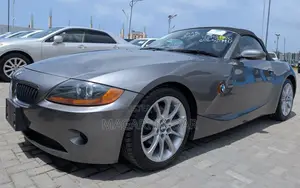 BMW Z4 2007 Gray