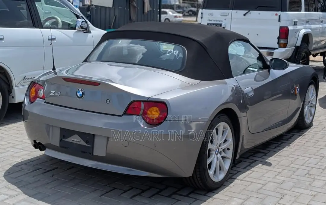 BMW Z4 2007 Gray