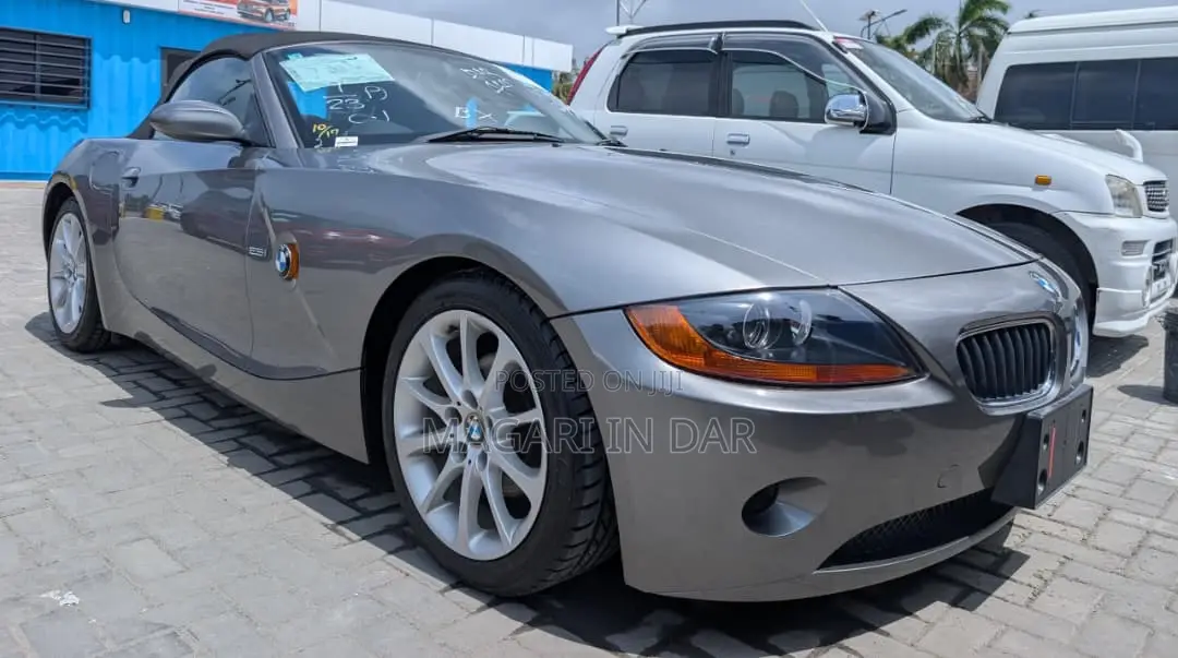 BMW Z4 2007 Gray