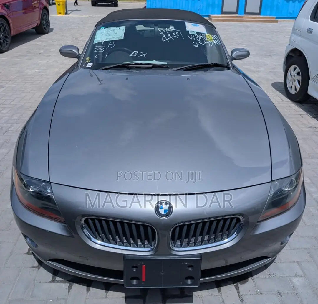 BMW Z4 2007 Gray