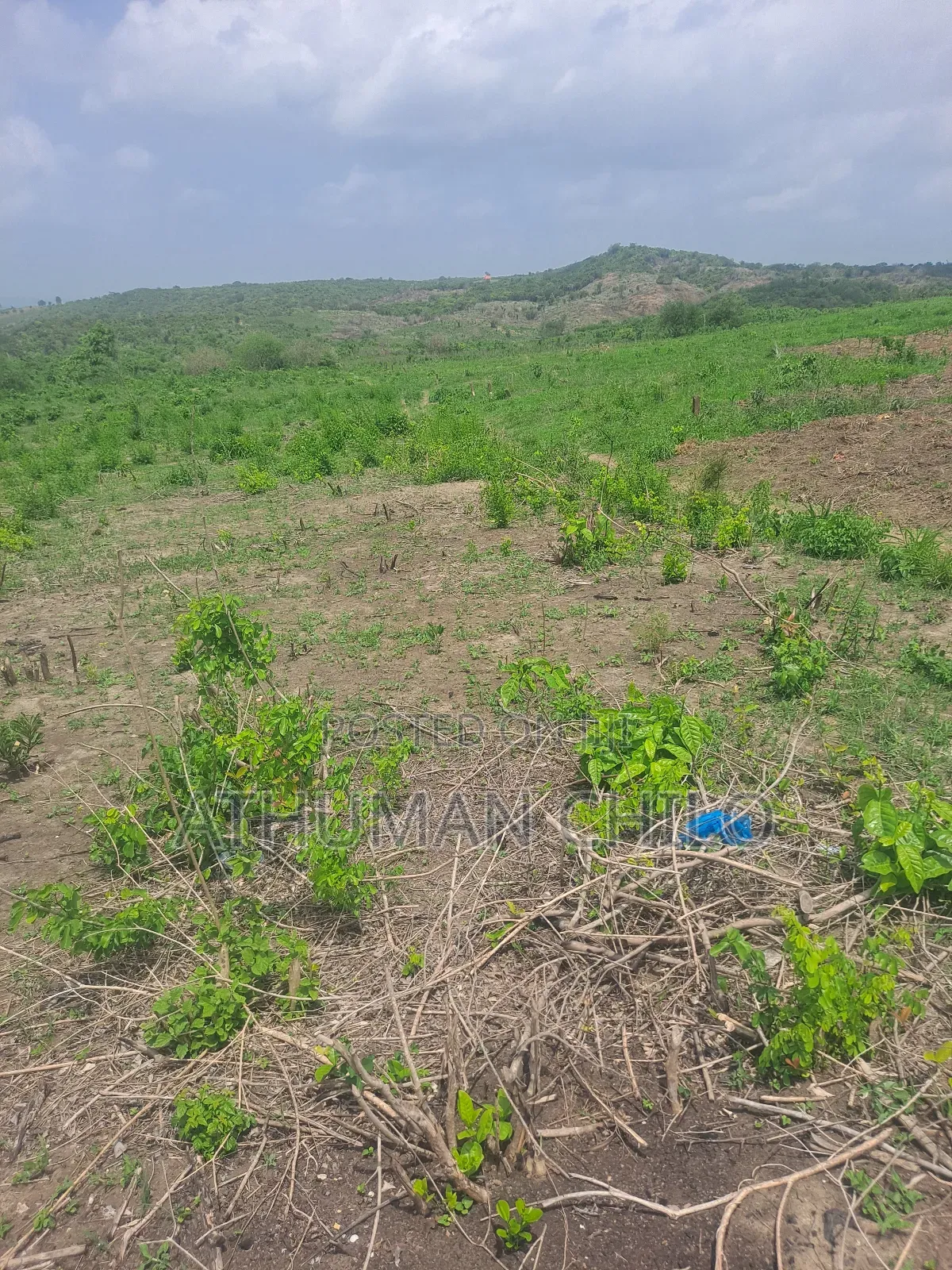 Shamba Linauzwa Kiwangwa Bagamoyo Pwani