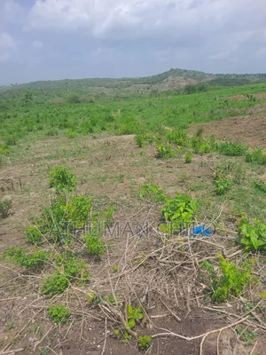 Shamba Linauzwa Kiwangwa Bagamoyo Pwani