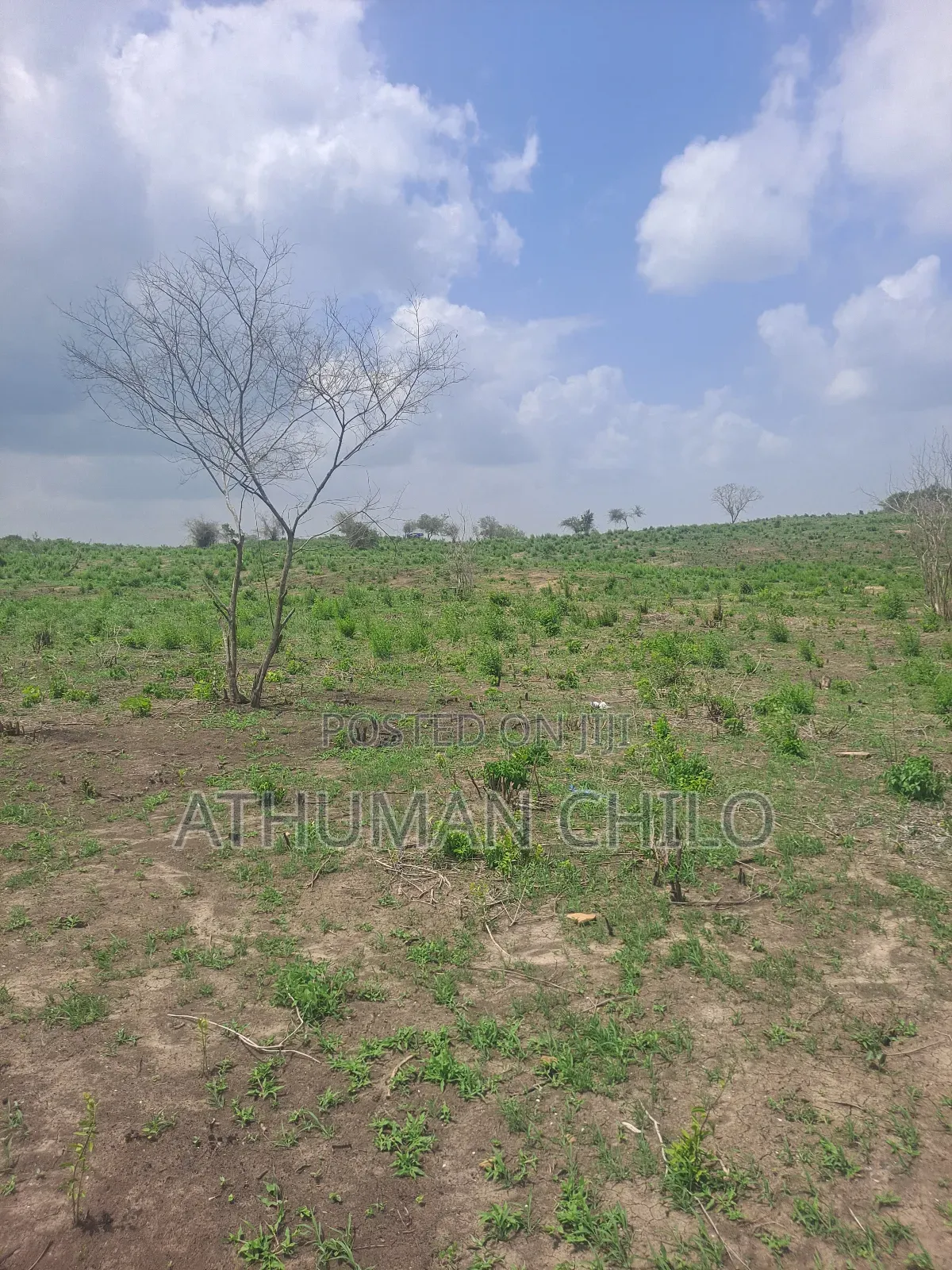 Shamba Linauzwa Kiwangwa Bagamoyo Pwani