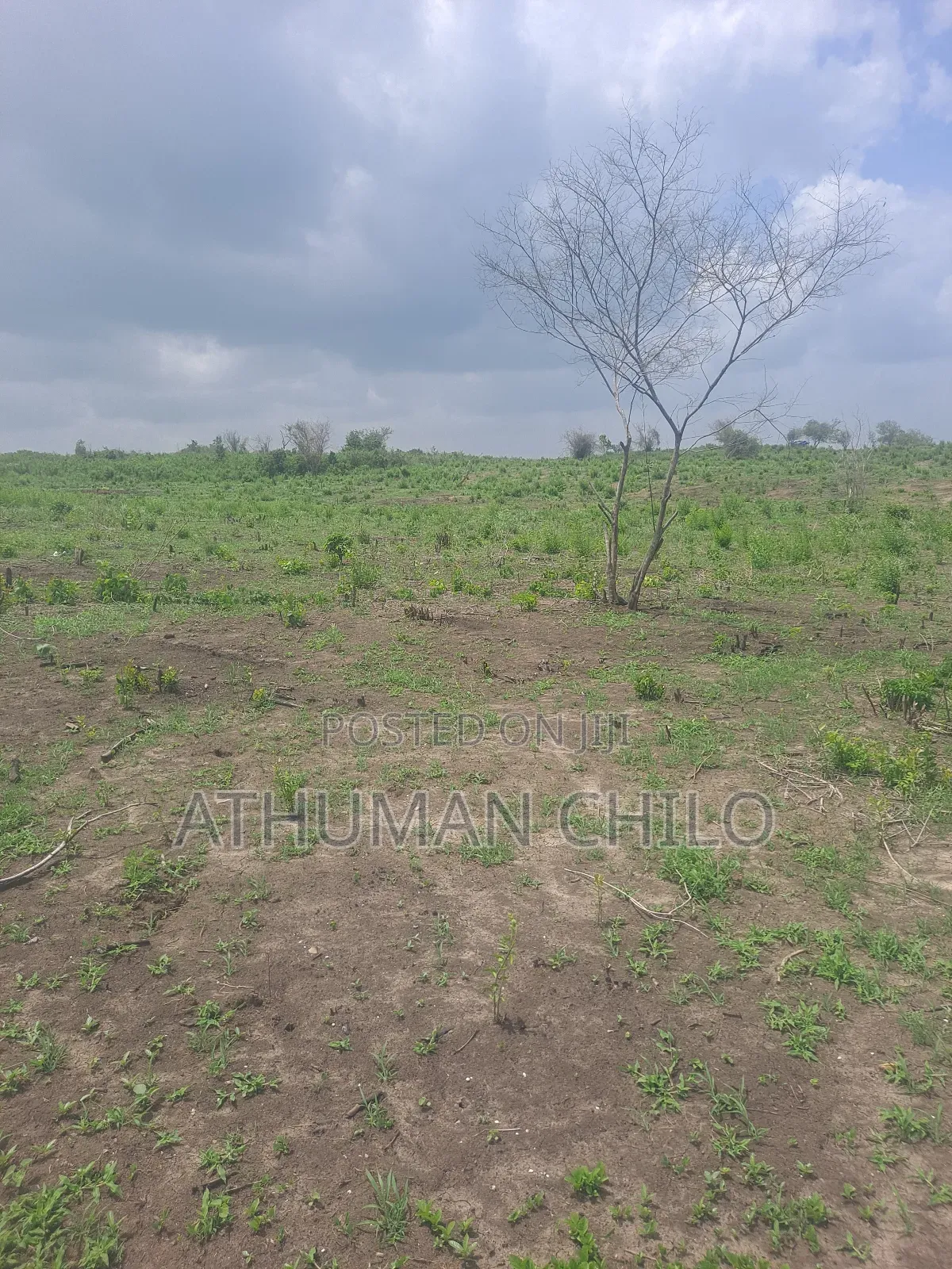 Shamba Linauzwa Kiwangwa Bagamoyo Pwani