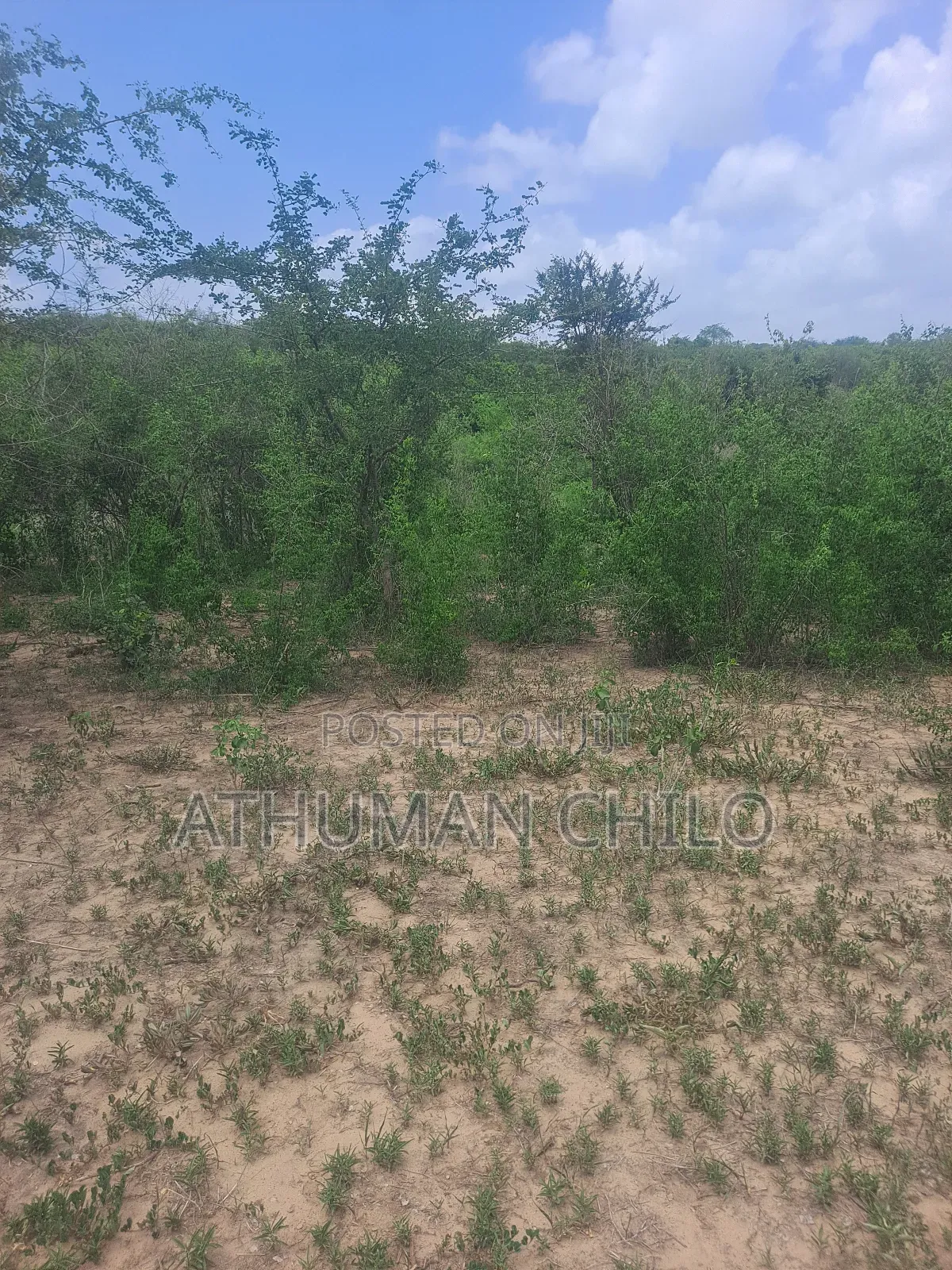 Shamba Linauzwa Kiwangwa Bagamoyo