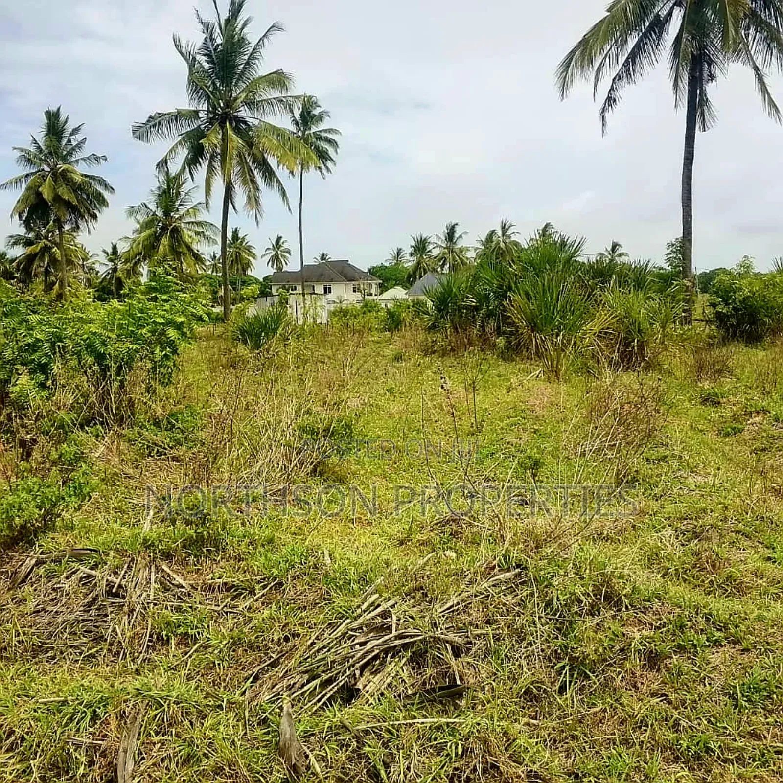 Kiwanja Karibu Na Beach Mbutu