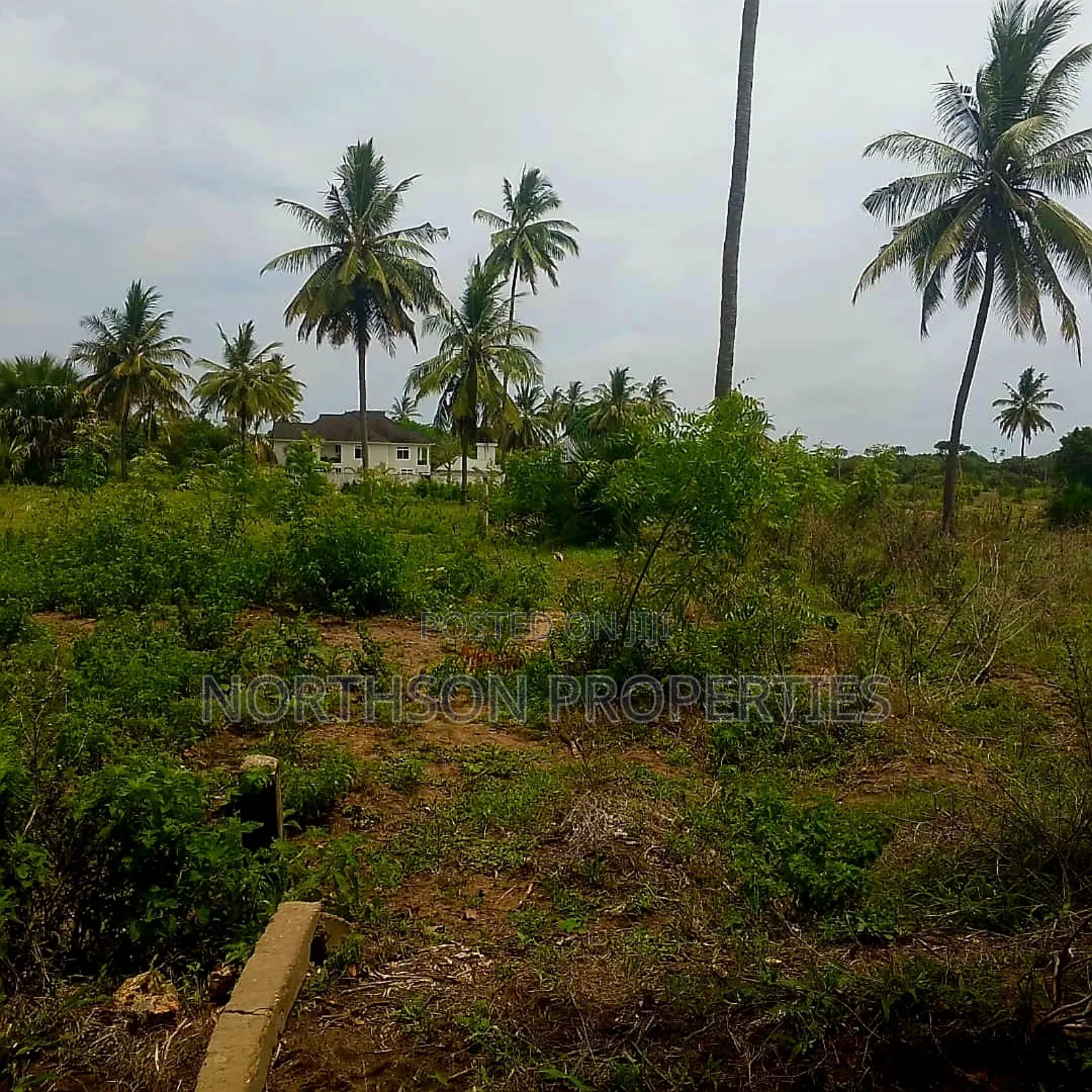 Kiwanja Karibu Na Beach Mbutu