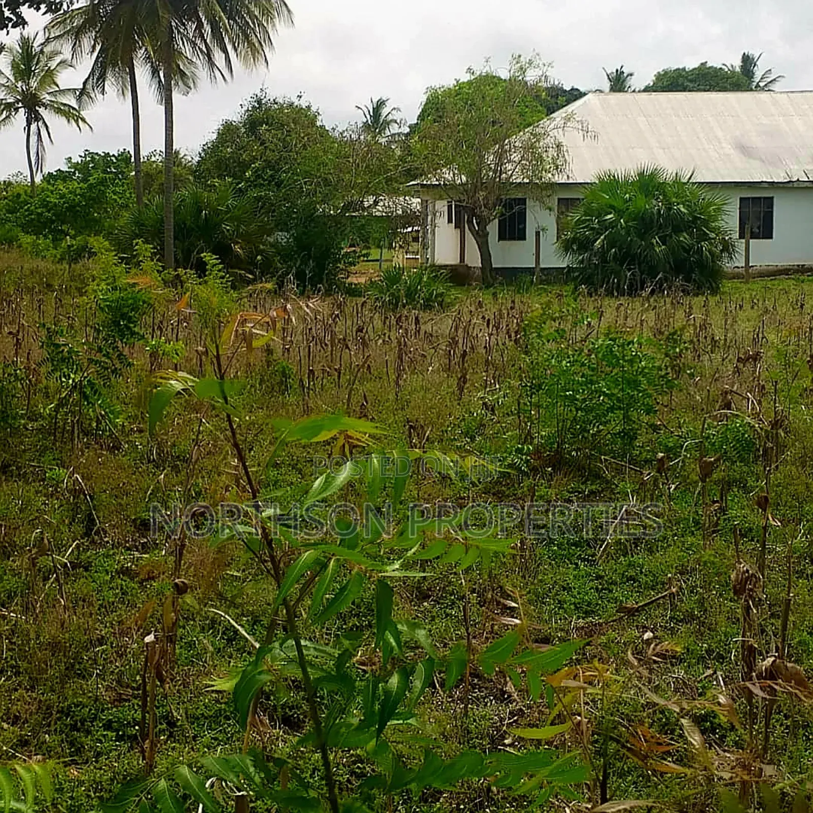 Plot Near Beach Dege Kigamboni