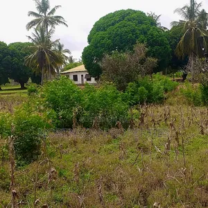 Plot Near Beach Dege Kigamboni