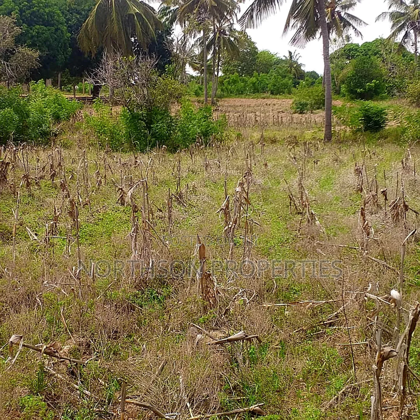 Plot Near Beach Dege Kigamboni