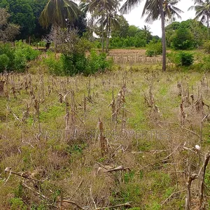 Plot Near Beach Dege Kigamboni