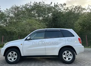 Toyota RAV4 2001 White