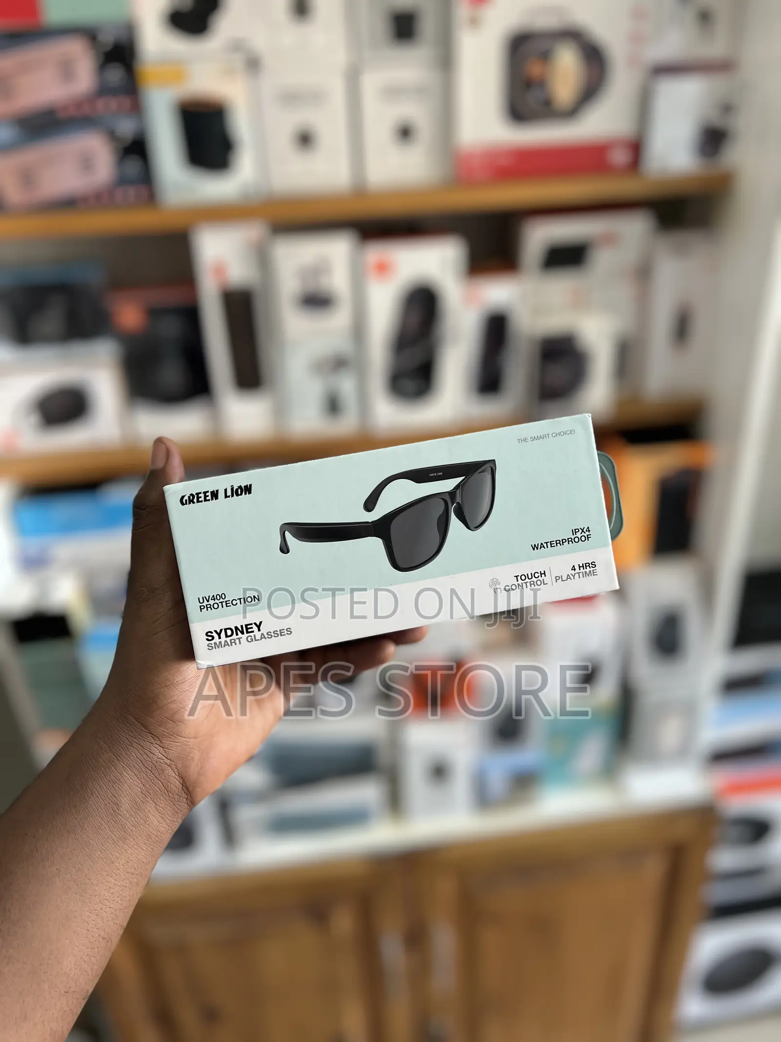 Greenlion Smart Glasses