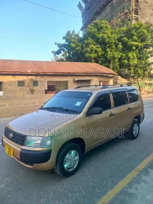 Toyota Probox 2010 Gold
