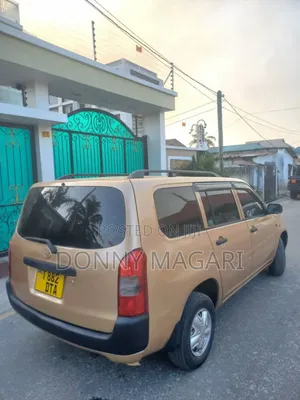 Toyota Probox 2010 Gold