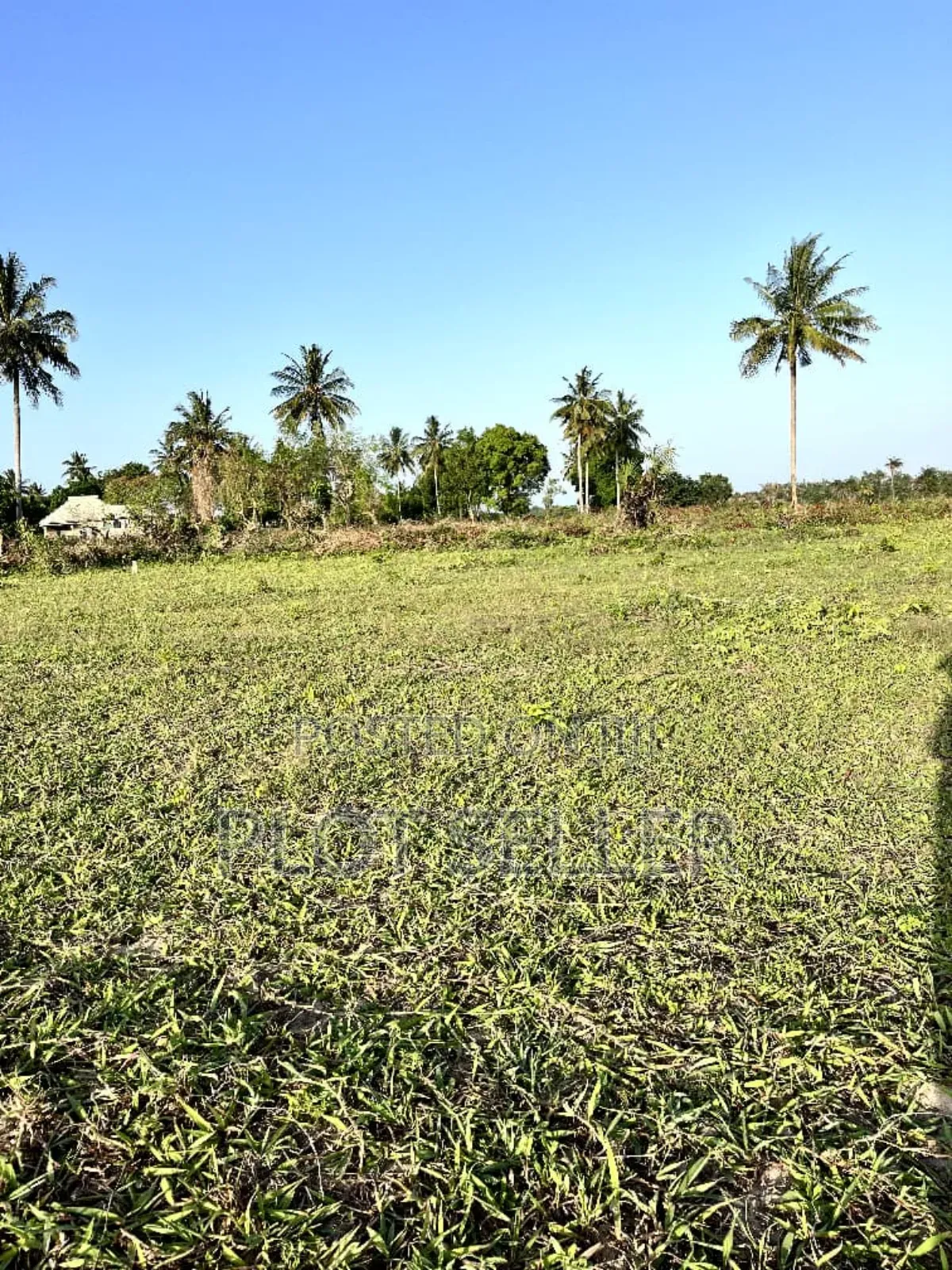 Plots for Sale in Mwasonga Mkamba