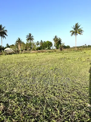 Plots for Sale in Mwasonga Mkamba