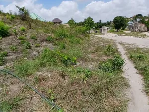 Plot for Sale at Mbezi Maramba Mawili SQM 400