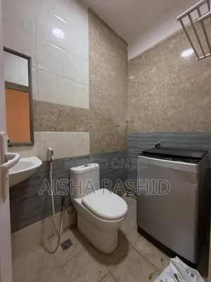 Furnished 3bdrm Apartment in Masaki for rent