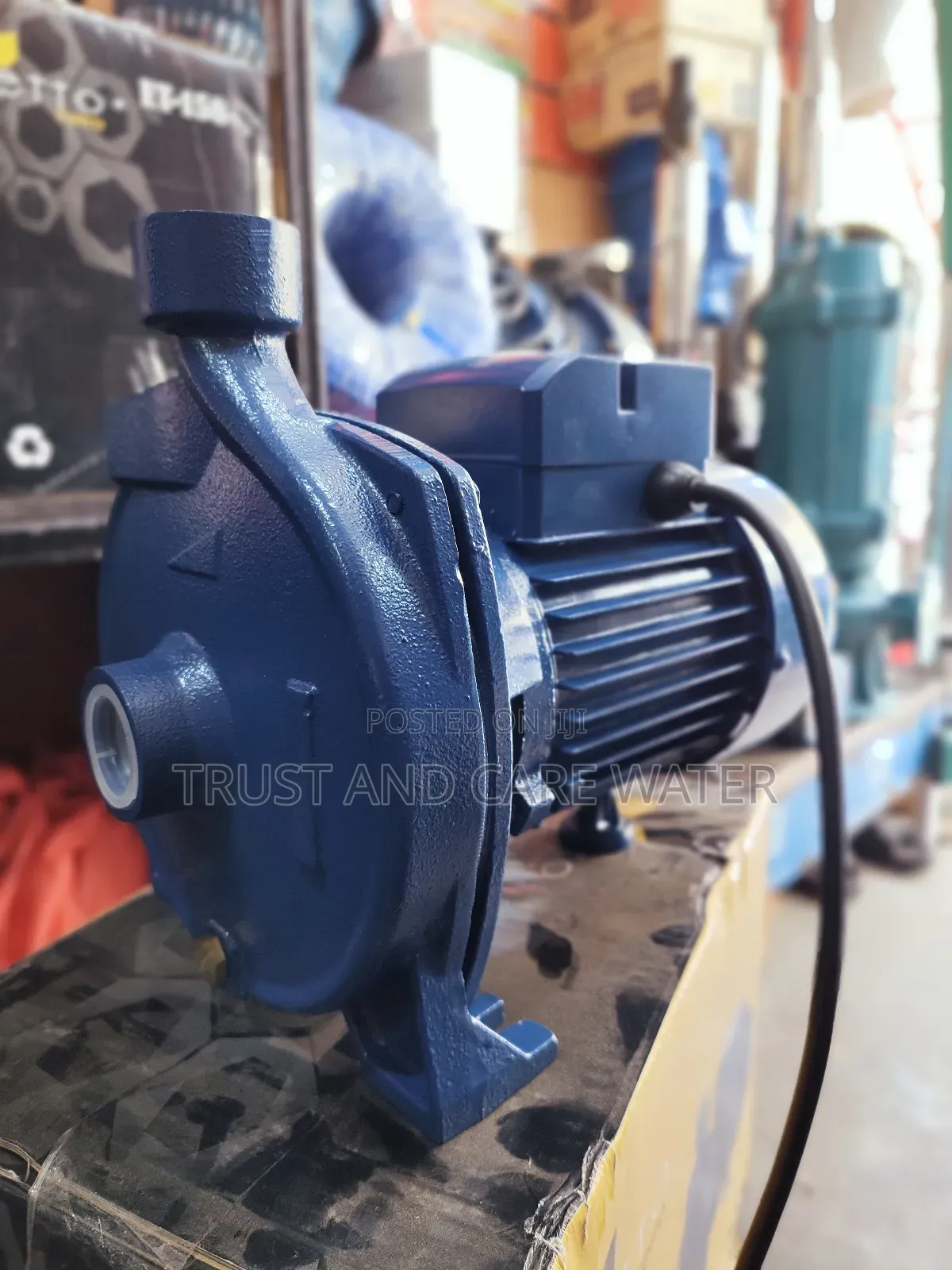 Etto Ferro Surface Pump 1hp