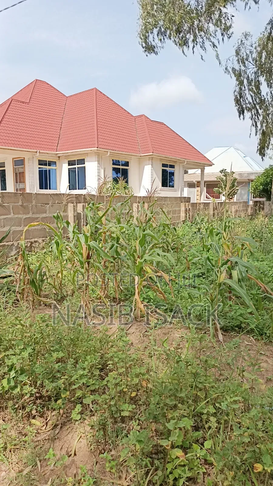 Plot for Sale Mwanza Ilemela Busweru