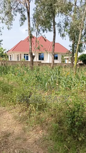 Plot for Sale Mwanza Ilemela Busweru
