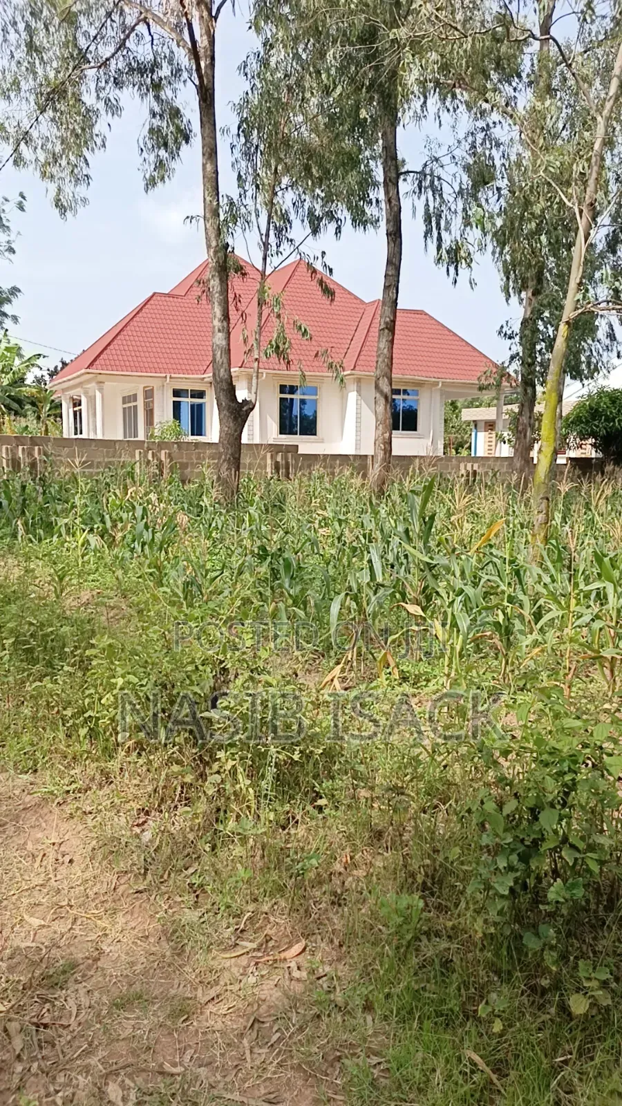 Plot for Sale Mwanza Ilemela Busweru