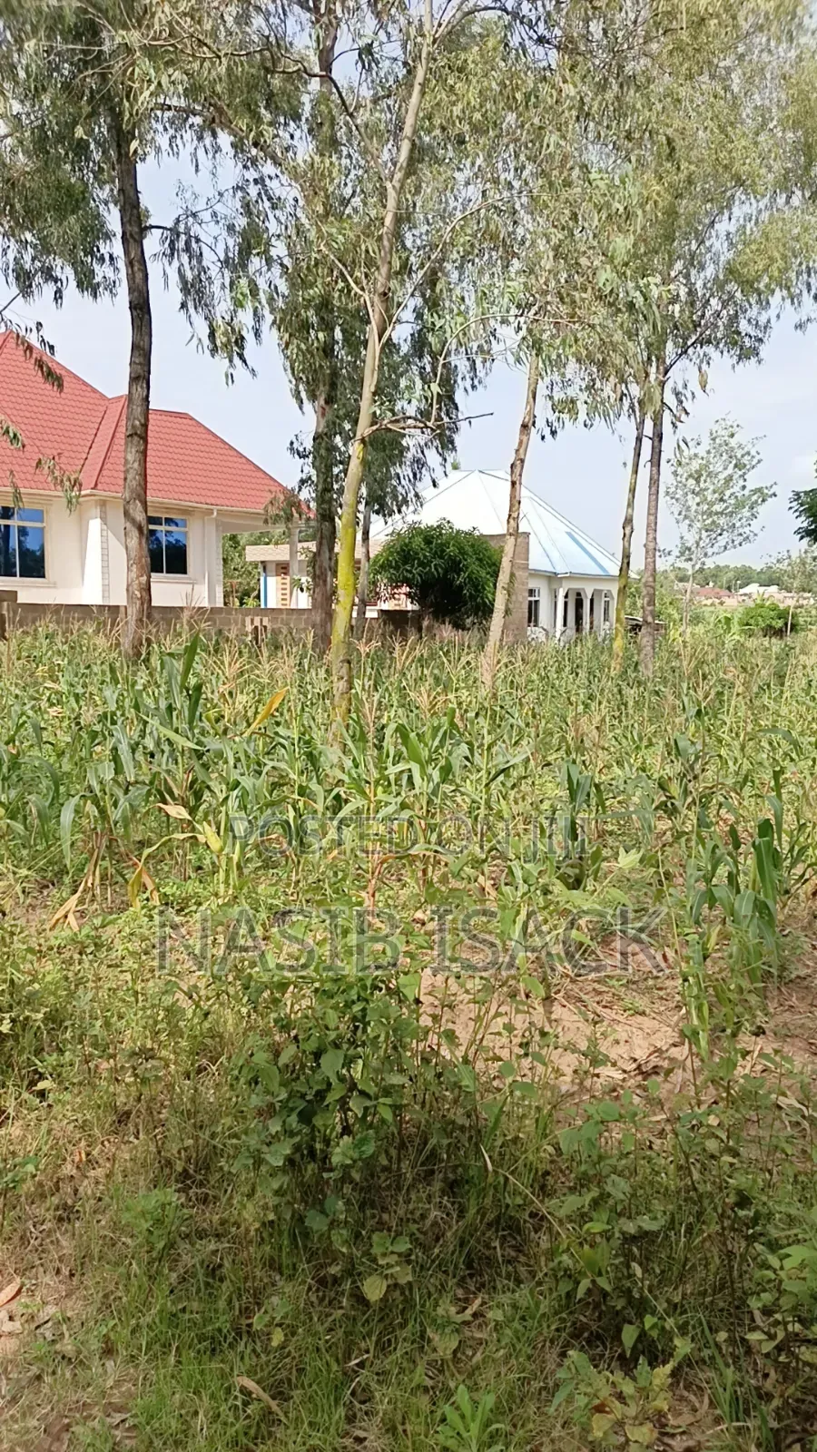 Plot for Sale Mwanza Ilemela Busweru