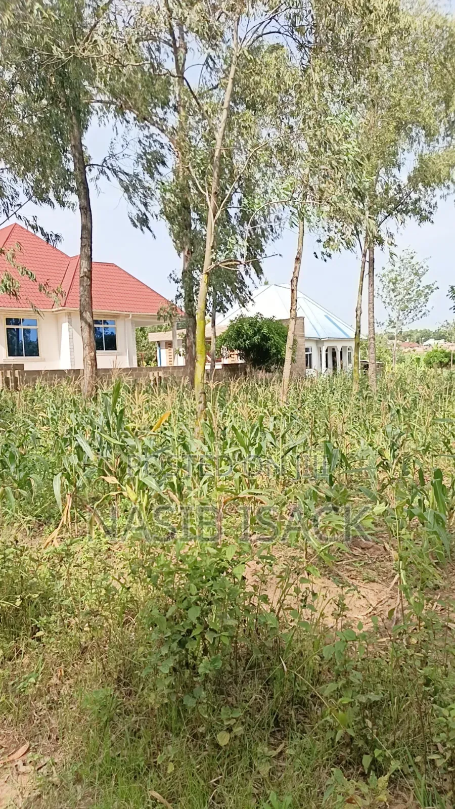Plot for Sale Mwanza Ilemela Busweru