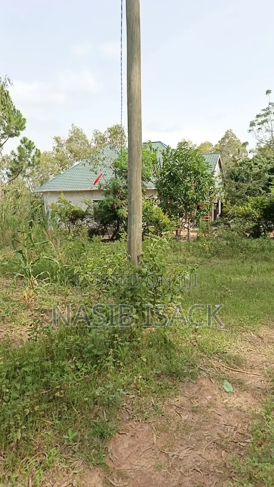 Plot for Sale Mwanza Ilemela Busweru