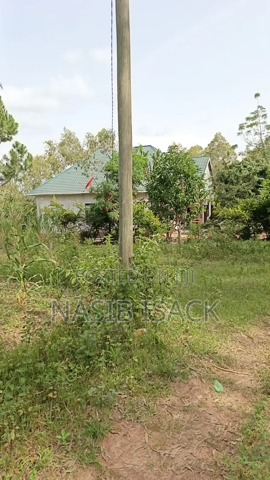 Plot for Sale Mwanza Ilemela Busweru