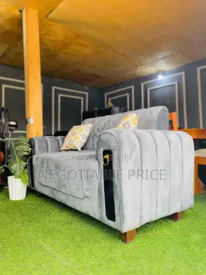 Ash Grey Couch With Spring Cushion 2seater