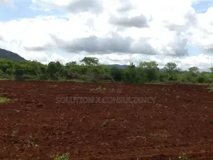 Farm for Sale at Morogoro