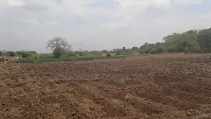 Farm for Sale at Morogoro