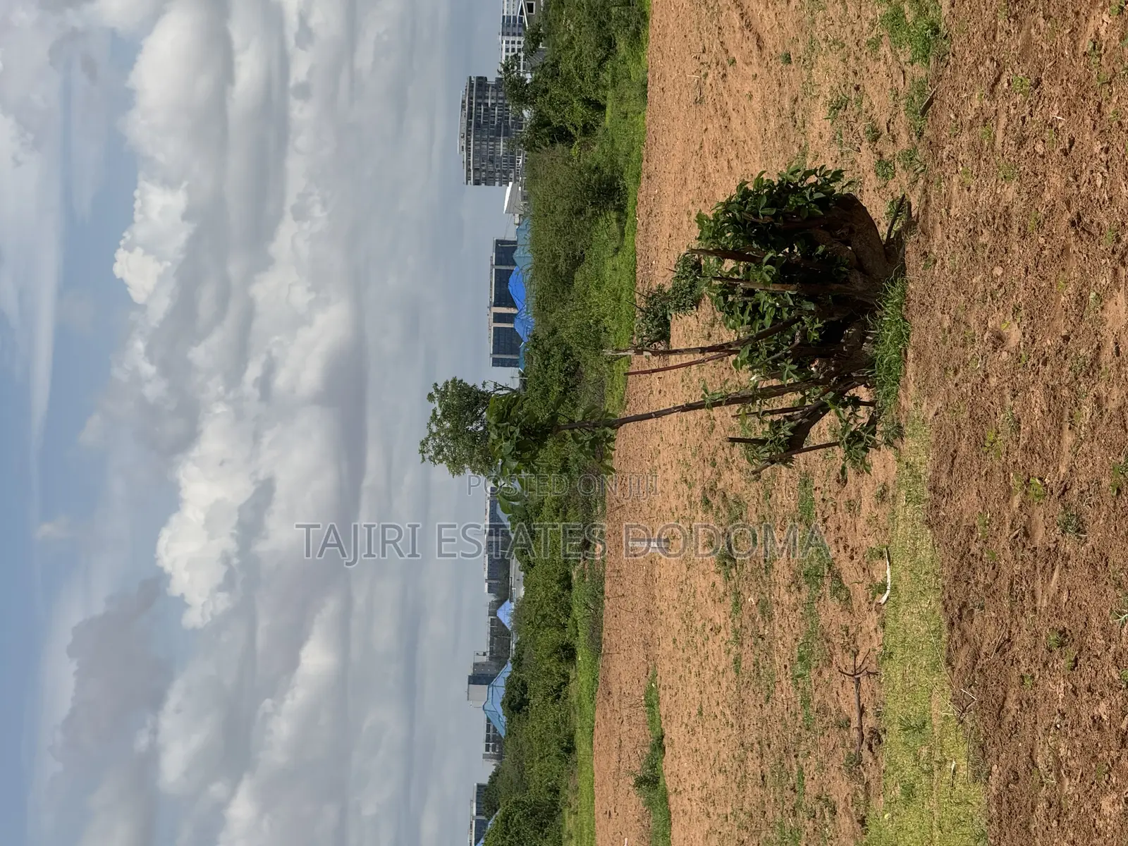 Commercial Plot for Sale in Dodoma Town Mtumba