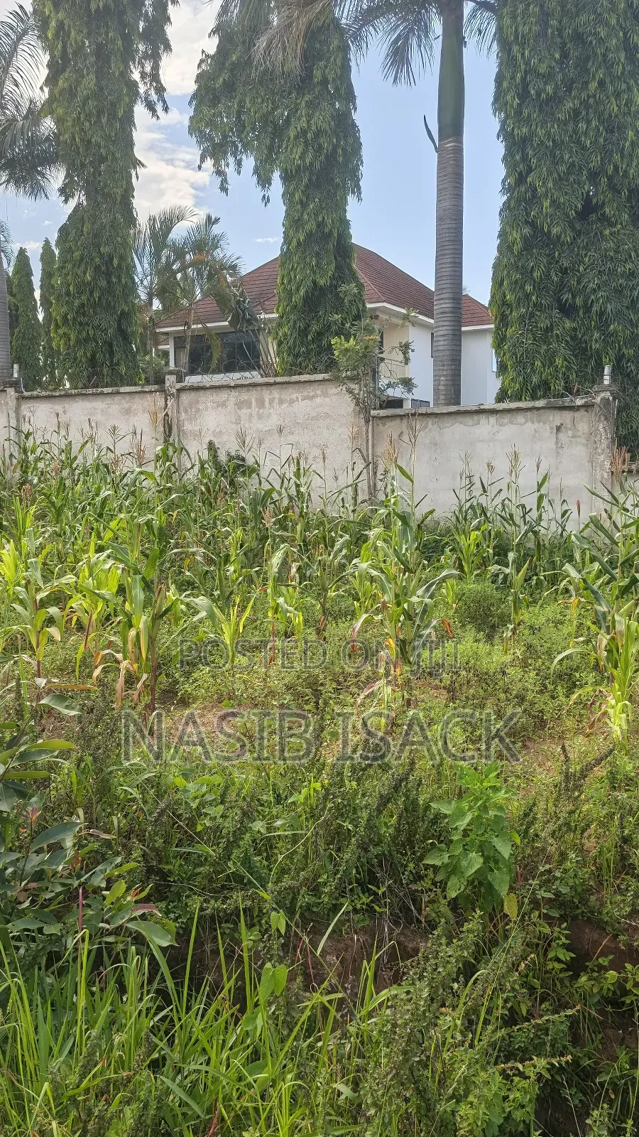 Plot for Sale Square Meter 1484 Kiseke Mwanza