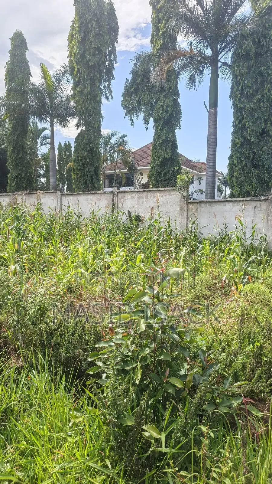 Plot for Sale Square Meter 1484 Kiseke Mwanza