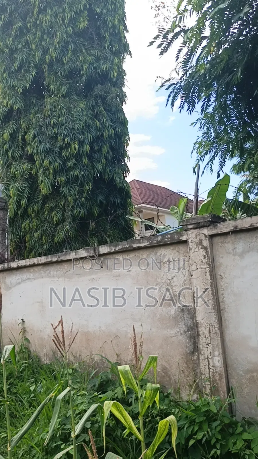 Plot for Sale Square Meter 1484 Kiseke Mwanza