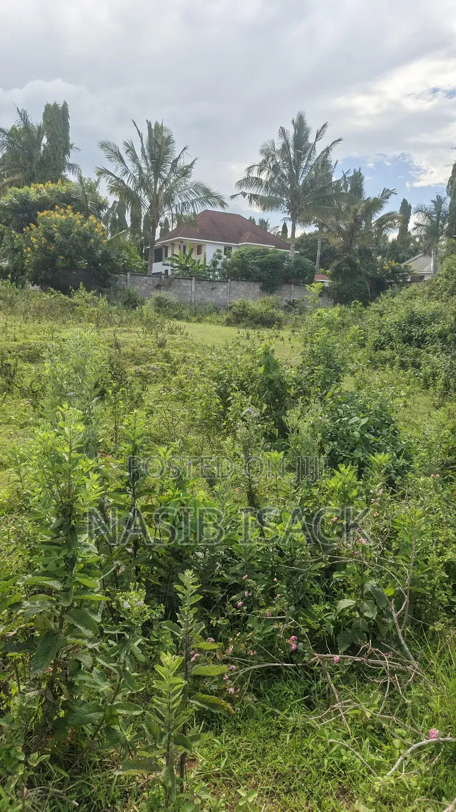 Plot for Sale Square Meter 1484 Kiseke Mwanza