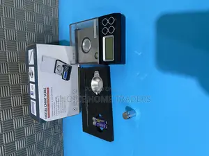 Digital Carat Scale