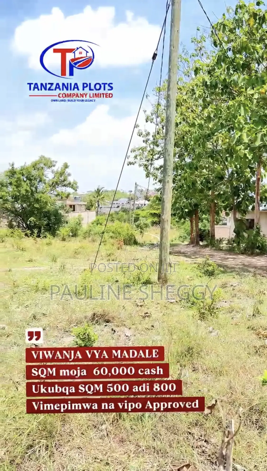 Viwanja Madale