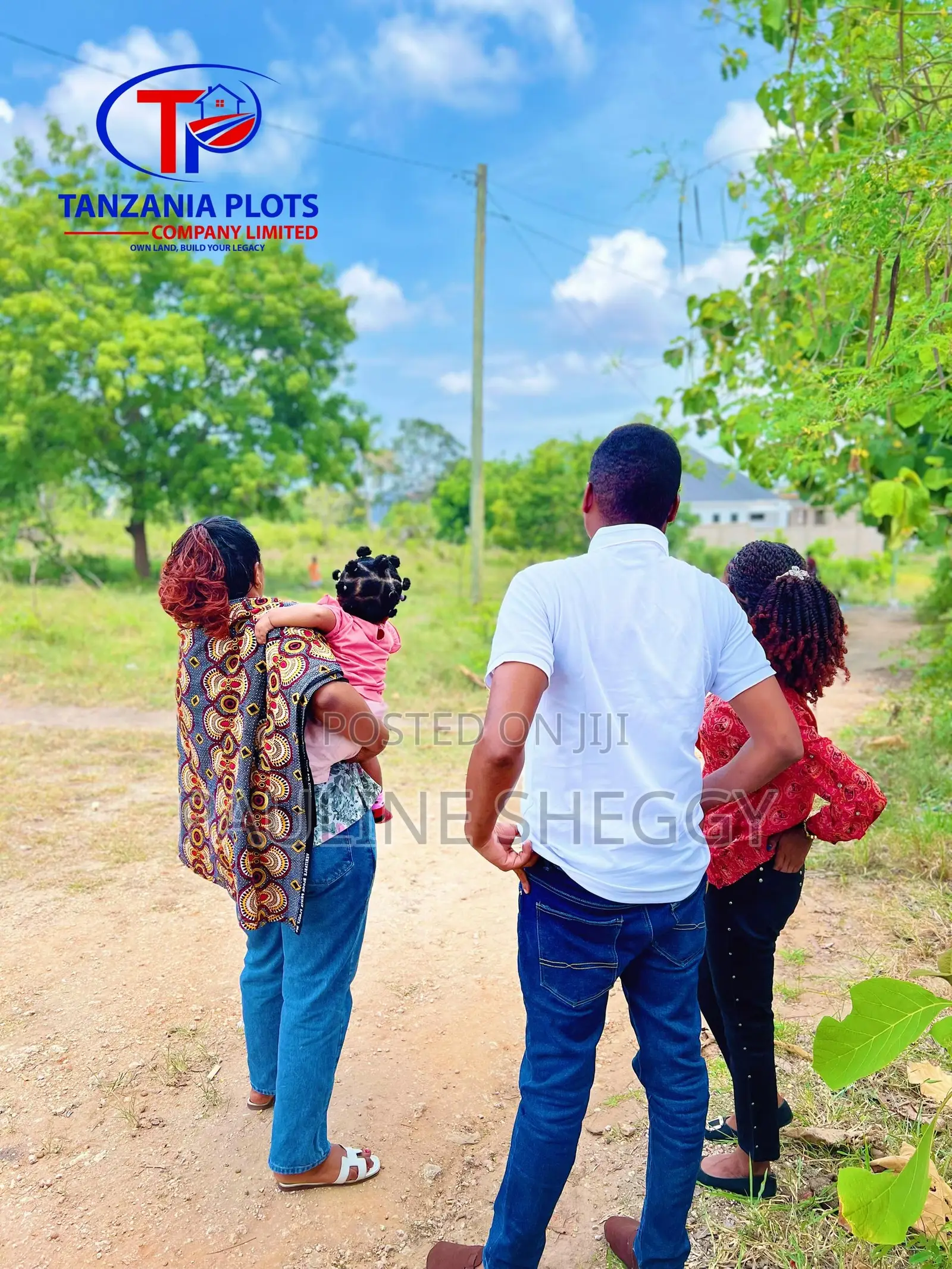 Viwanja Madale