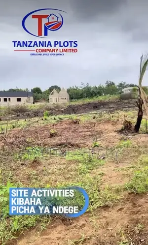 Kibaha Picha Ya Ndege
