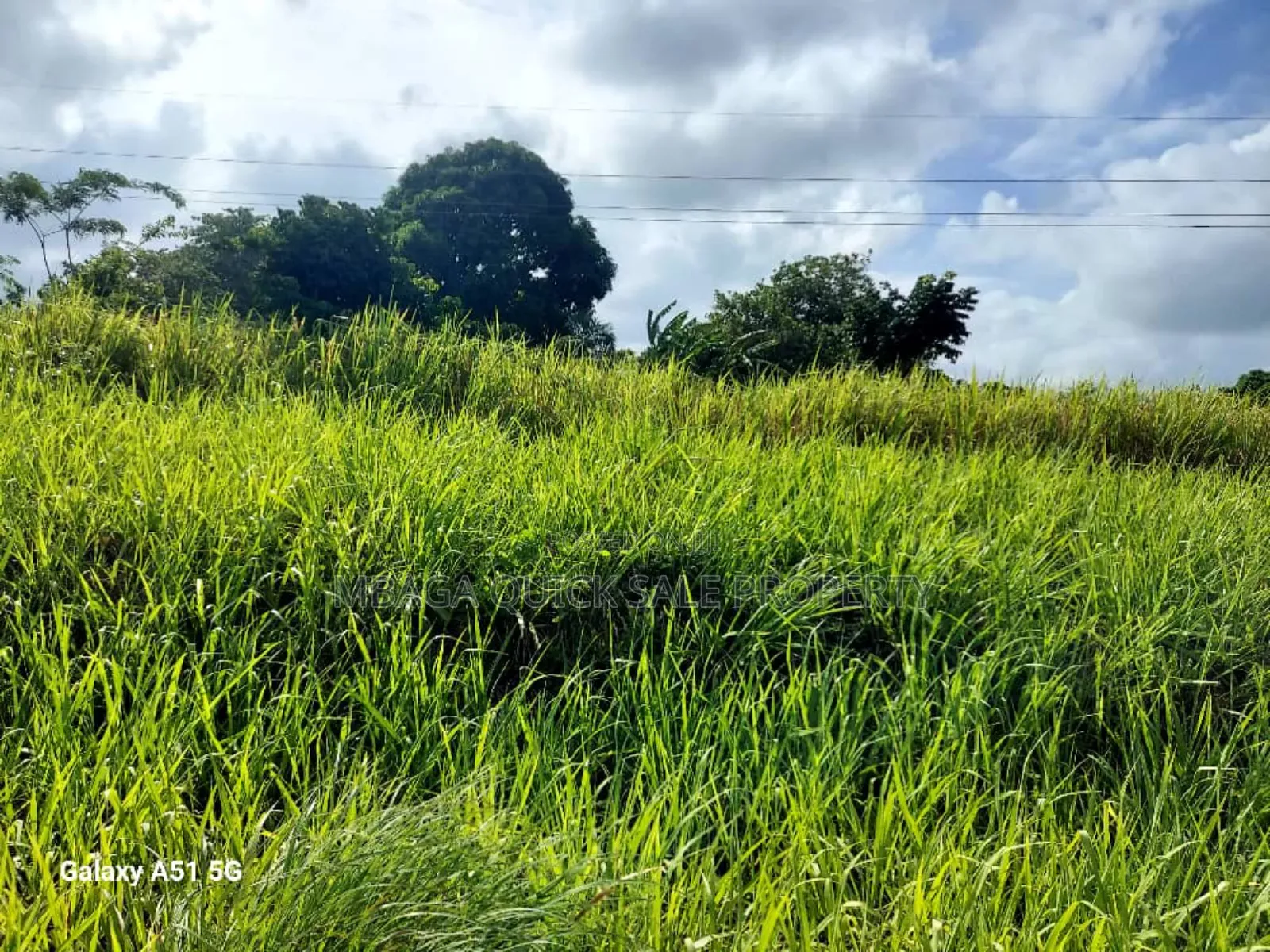 Plot for Sale at Bungu Pwani Nyuma Ya Bomba La Gas Acres 34
