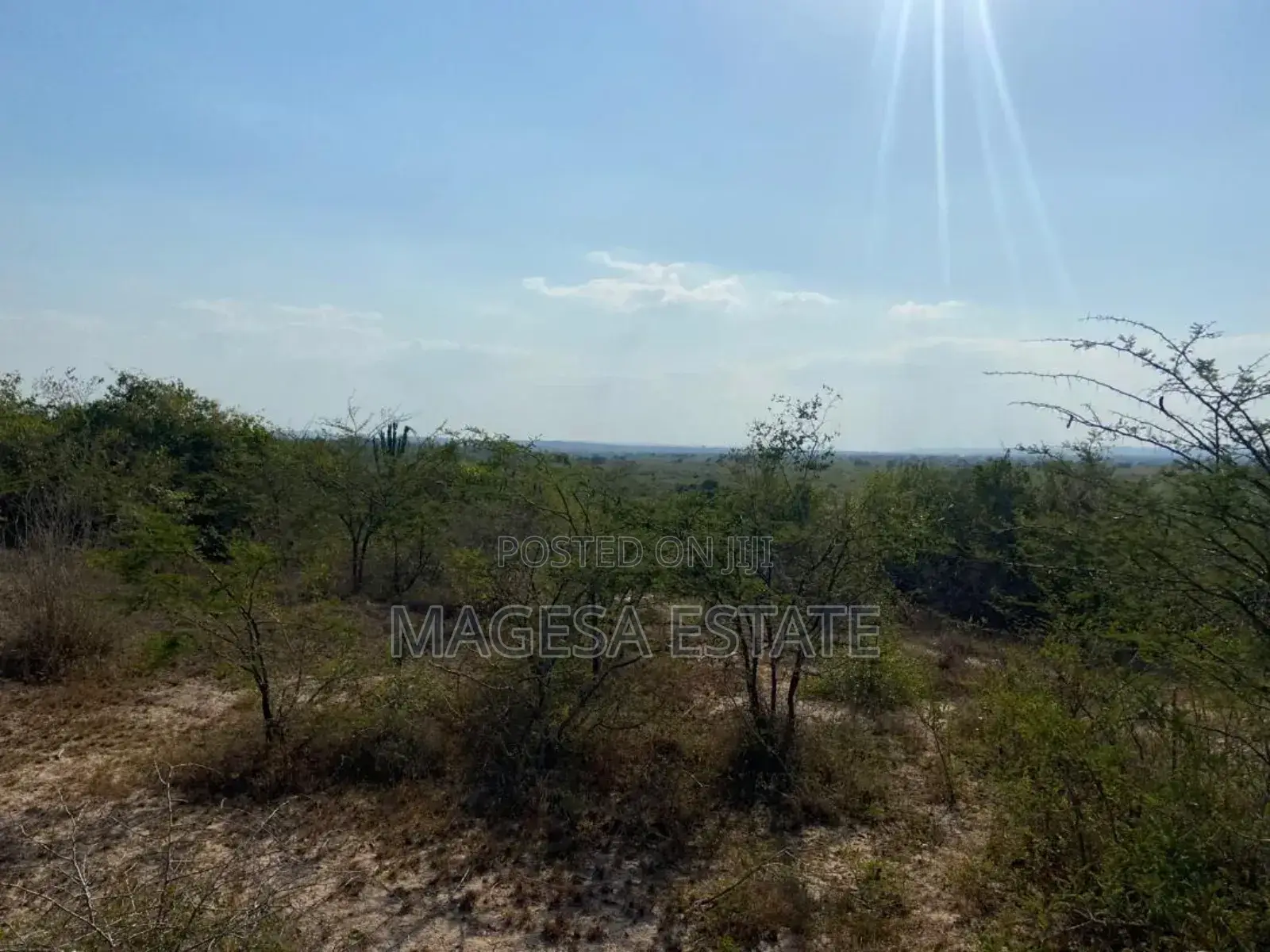 Industrial Area for Sale